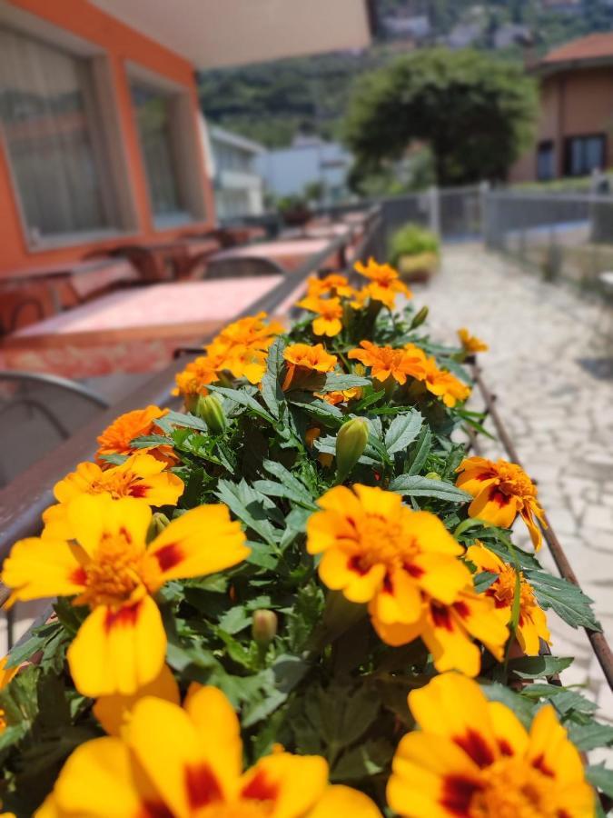 Albergo Villa Mimosa Torbole Sul Garda Dış mekan fotoğraf